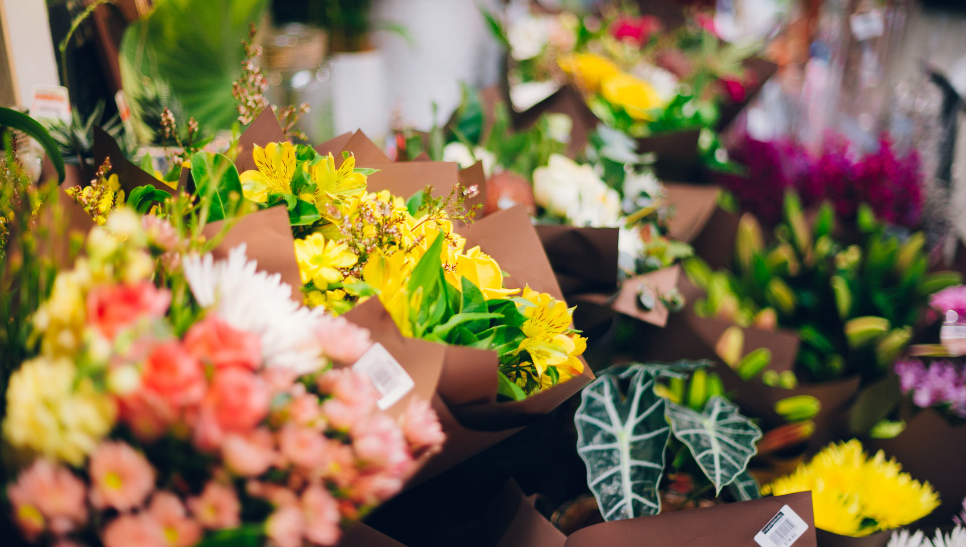 Hawthorne Garage Fresh Local Flowers Daily