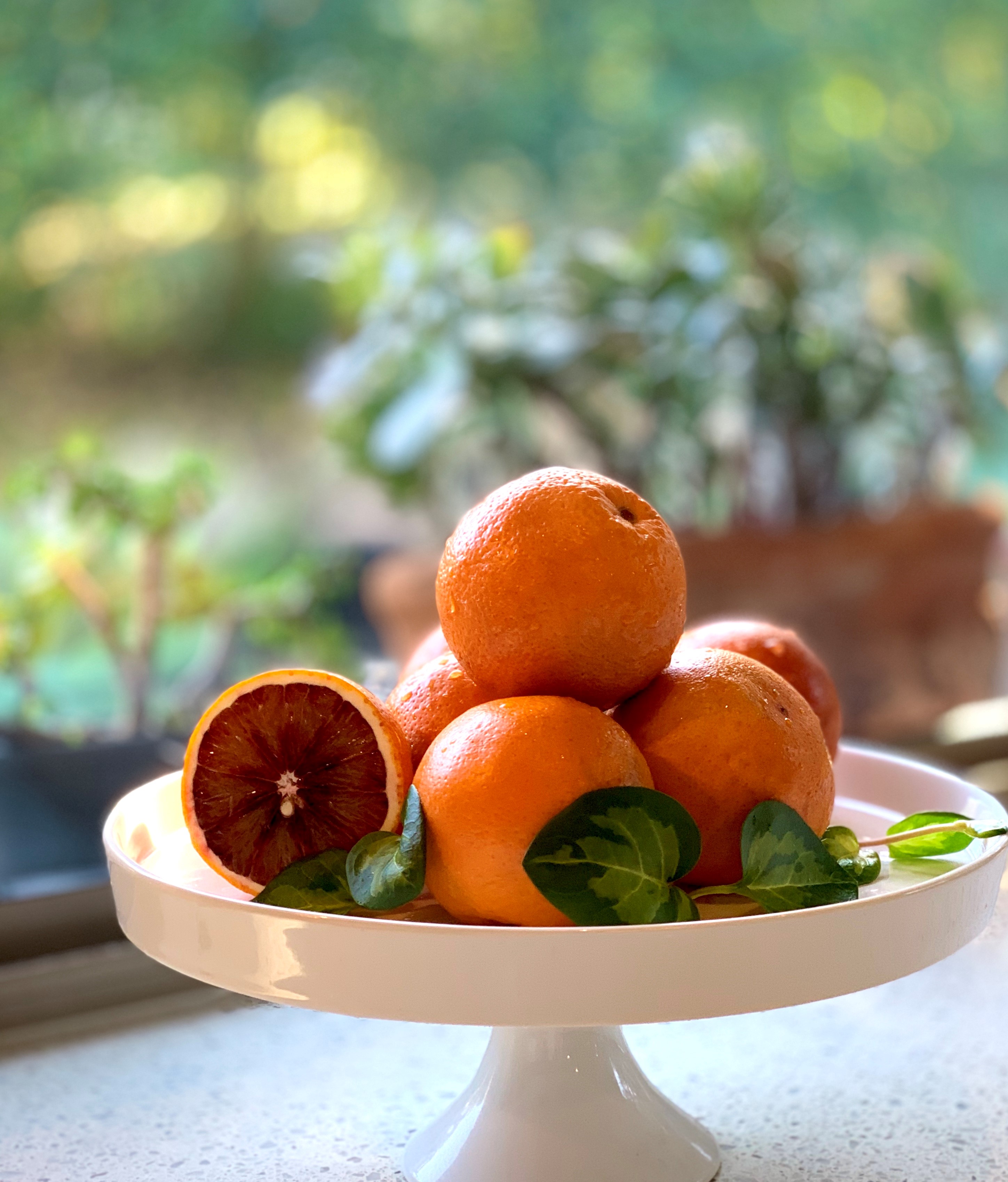 Blood Orange Marmalade02